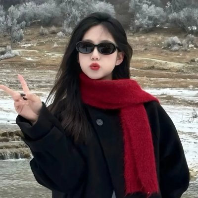 假元首秘纪